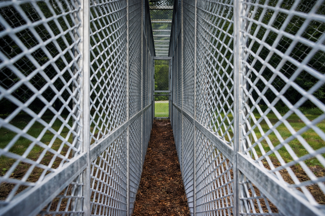 double cage piece bruce nauman 03