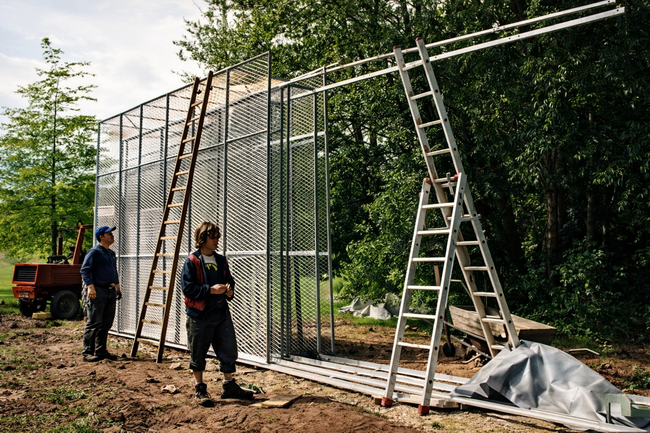 double cage piece bruce nauman 15