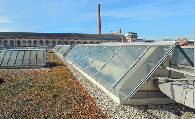 denkmalschutz sanierung dachoblichter schlachthof 03